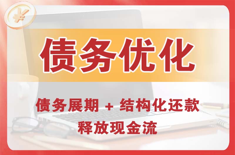 蒲江债务优化