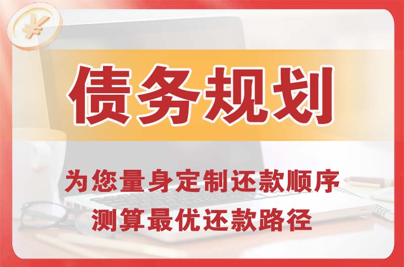 蒲江债务规划